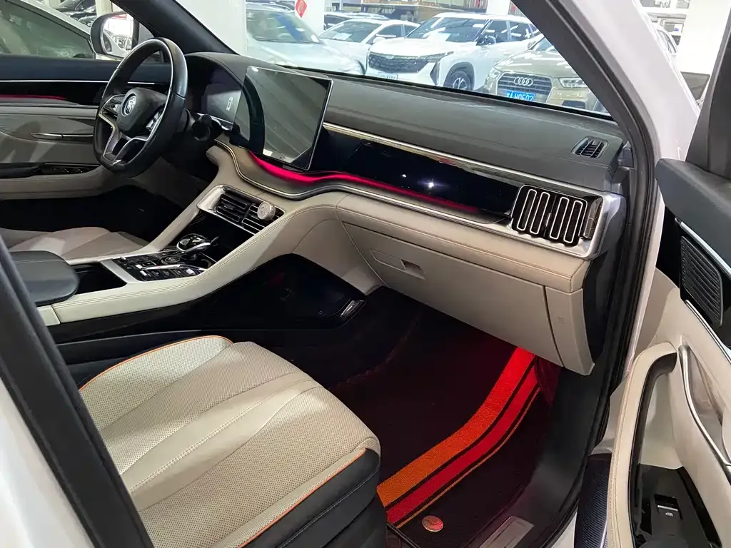 BYD PLUS New Energy 2023 из CN, фото 5