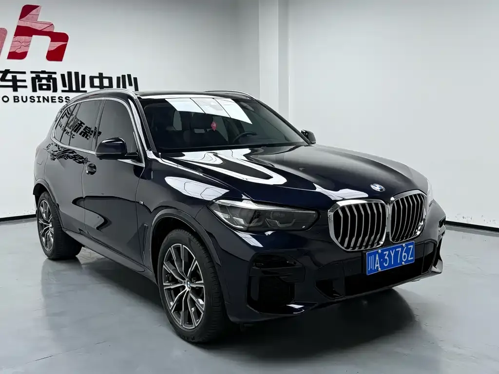 BMW X5 (Import) 2022 из CN, фото 7