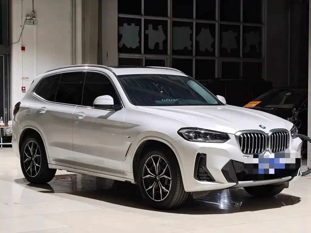 BMW X3 2024 из CN, фото 6