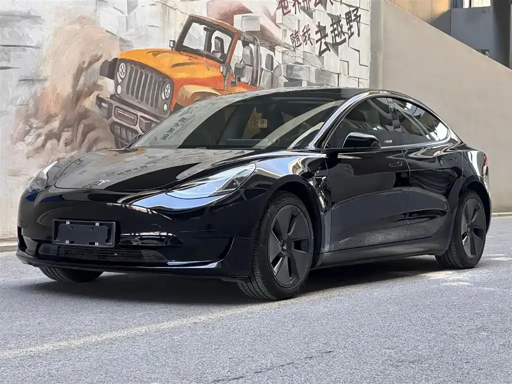 Tesla Model 3 2021 из CN, фото 1