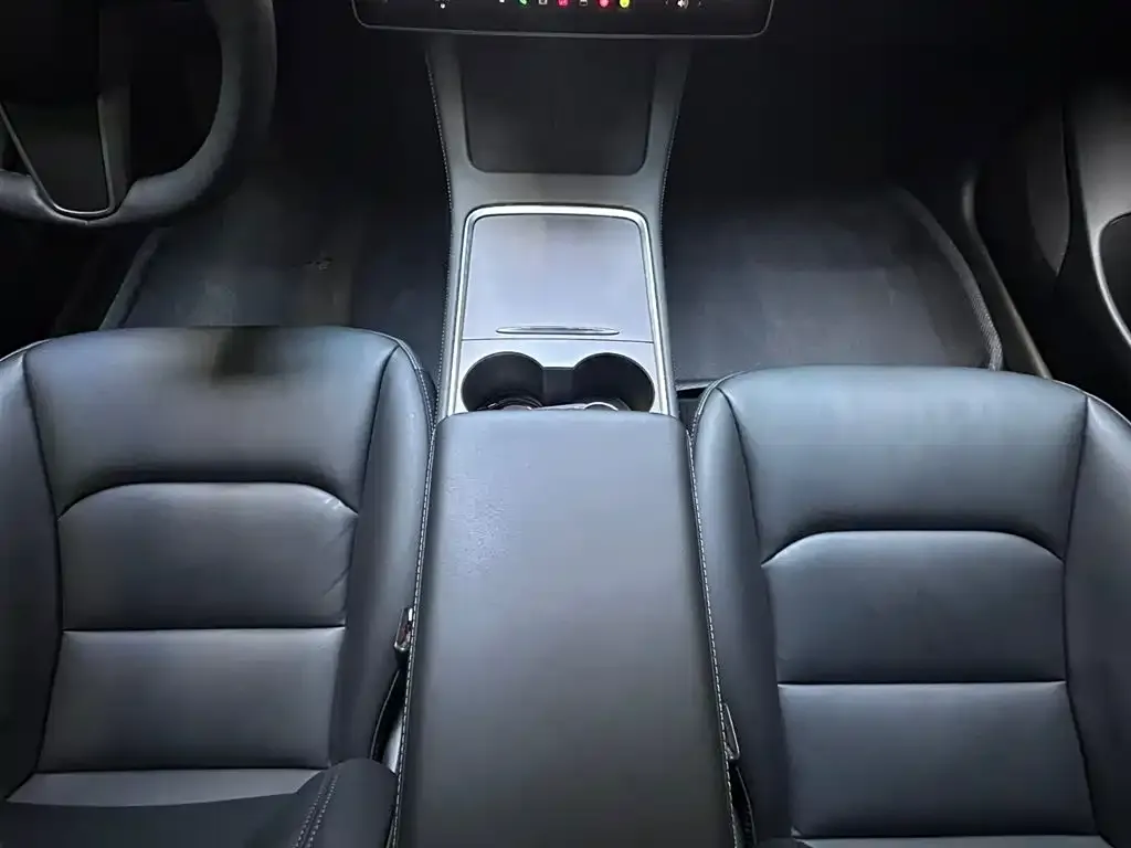 Tesla Model 3 2021 из CN, фото 3
