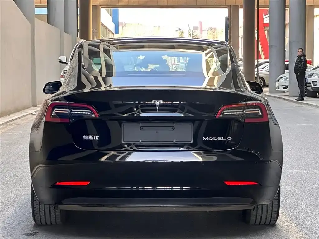 Tesla Model 3 2021 из CN, фото 6