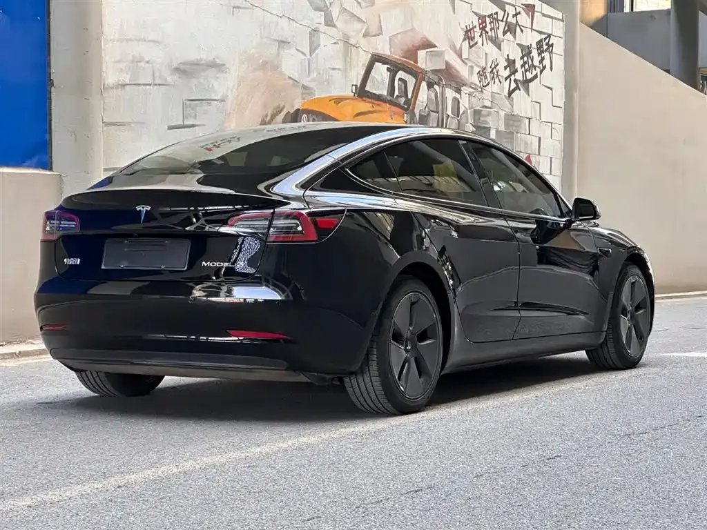 Tesla Model 3 2021 из CN, фото 4
