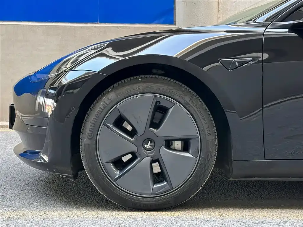 Tesla Model 3 2021 из CN, фото 7