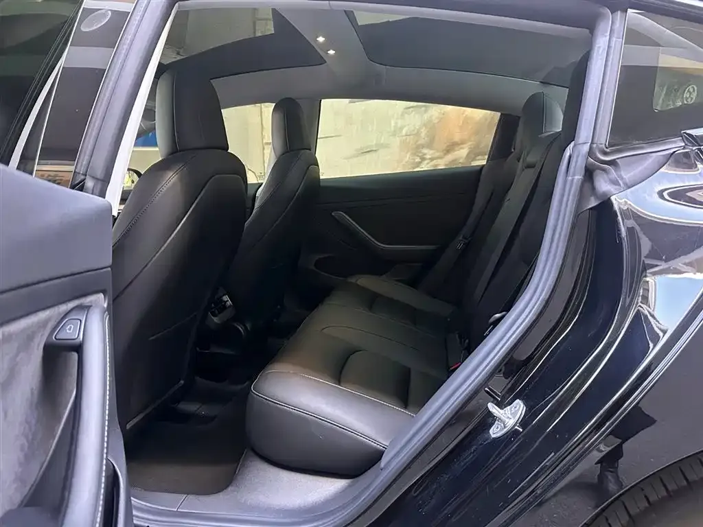 Tesla Model 3 2021 из CN, фото 5