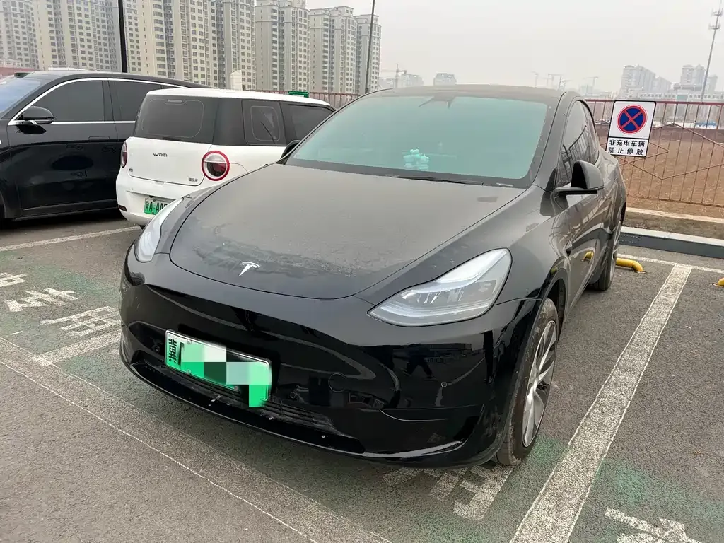 Tesla Model Y 2023 из CN, фото 1
