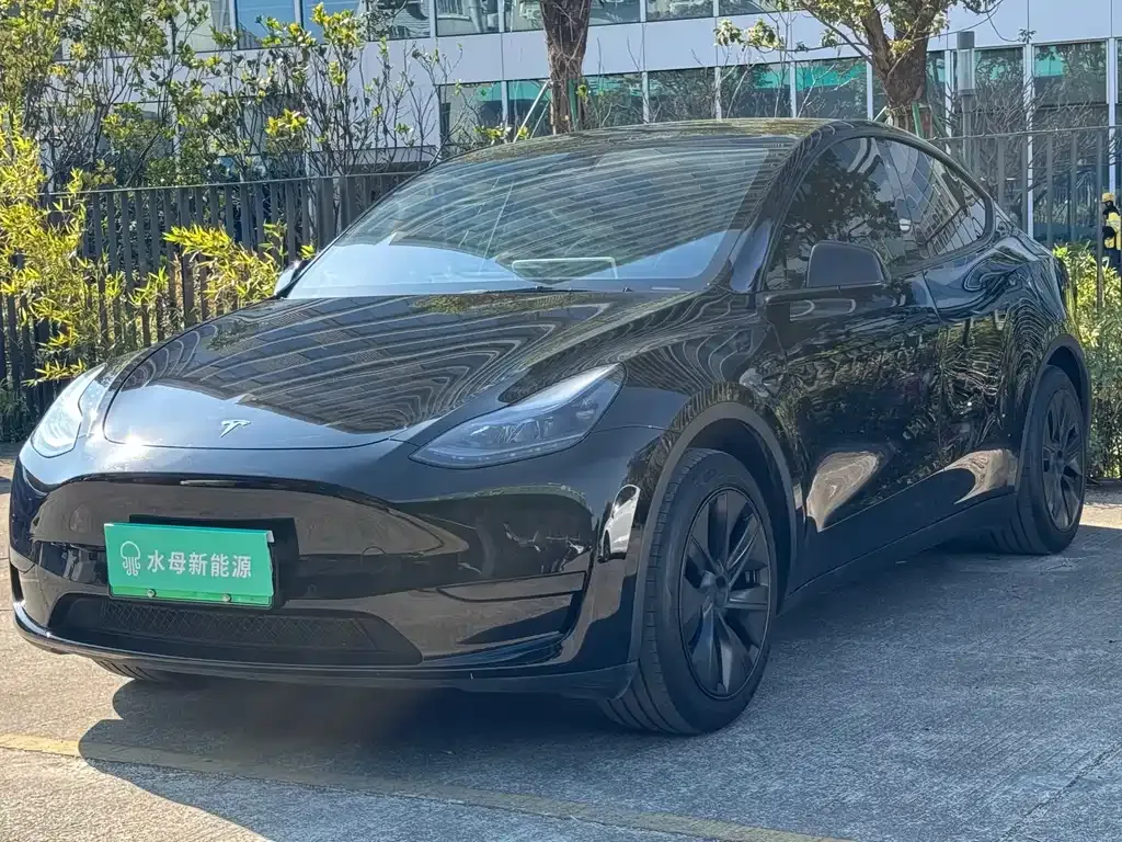 Tesla Model Y — фото 1