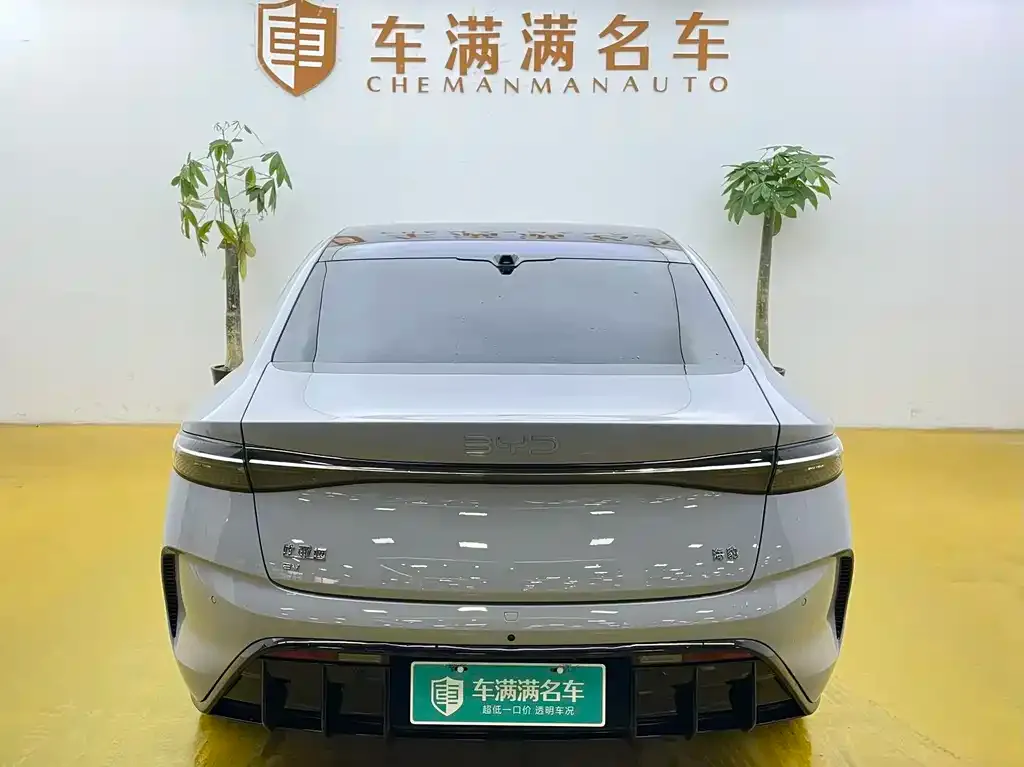 BYD Seal 2024 из CN, фото 2
