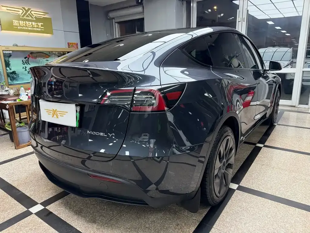 Tesla Model Y 2024 из CN, фото 5