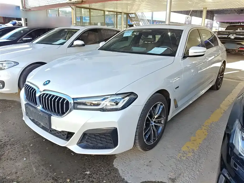 BMW 5 Series New Energy 2023 из CN, фото 1