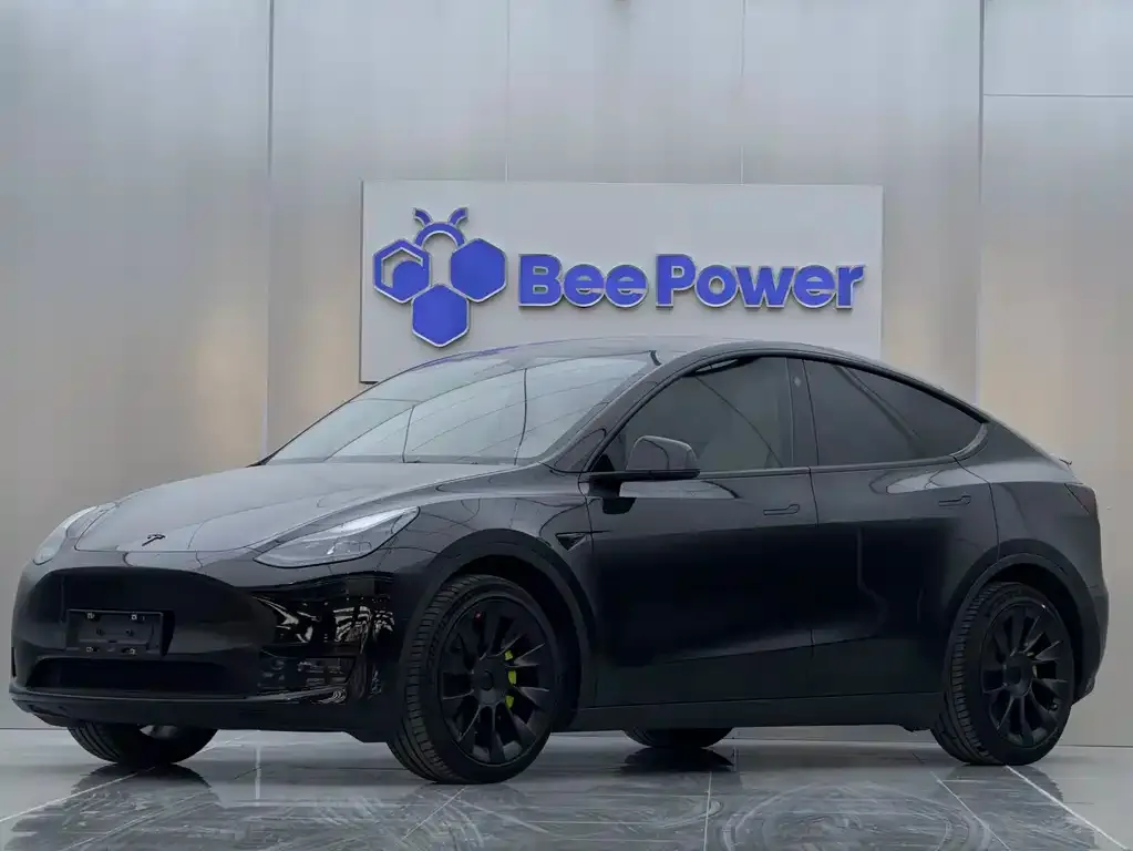 Tesla Model Y 2022 из CN, фото 1