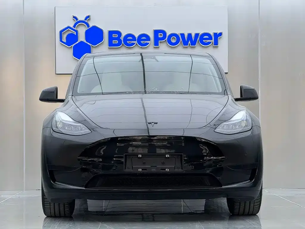Tesla Model Y 2022 из CN, фото 2