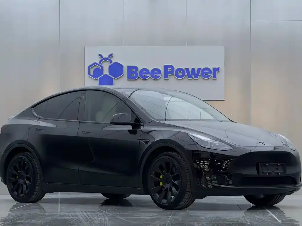 Tesla Model Y 2022 из CN, фото 3