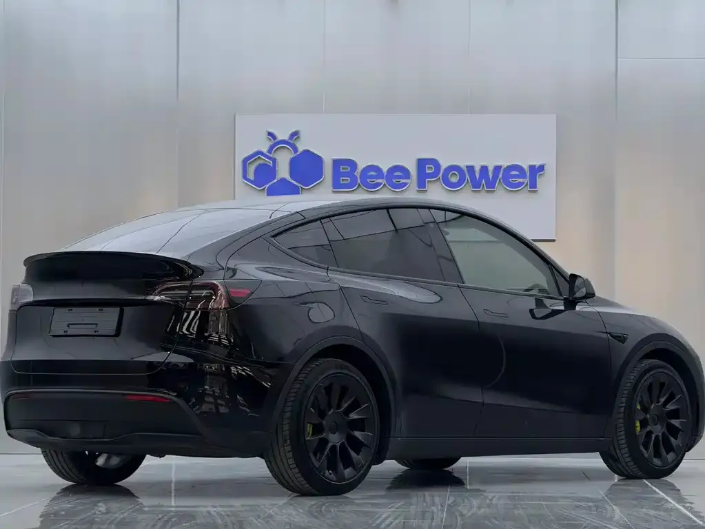 Tesla Model Y 2022 из CN, фото 6
