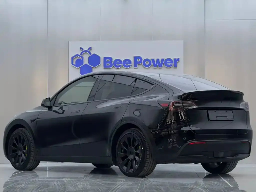 Tesla Model Y 2022 из CN, фото 8