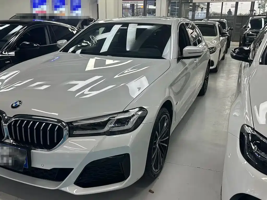 BMW 5 Series 2023 из CN, фото 1
