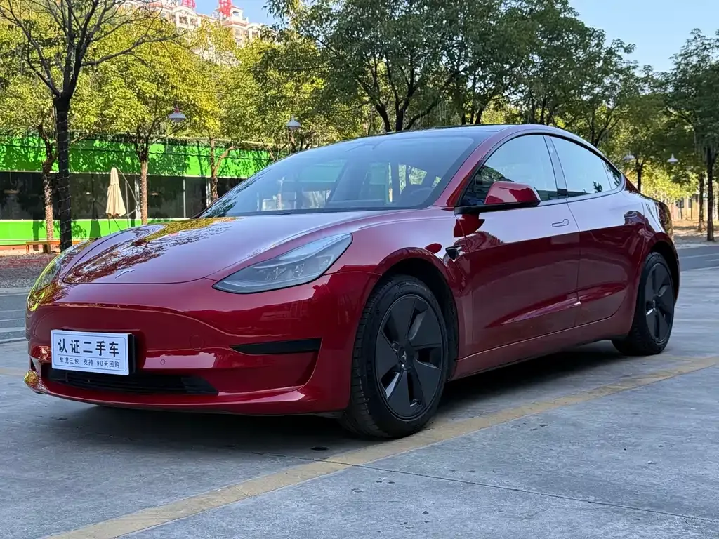 Tesla Model 3 2021 из CN, фото 1