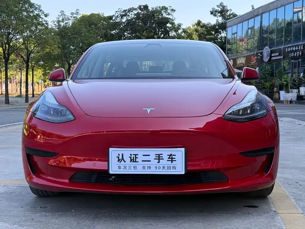 Tesla Model 3 2021 из CN, фото 3