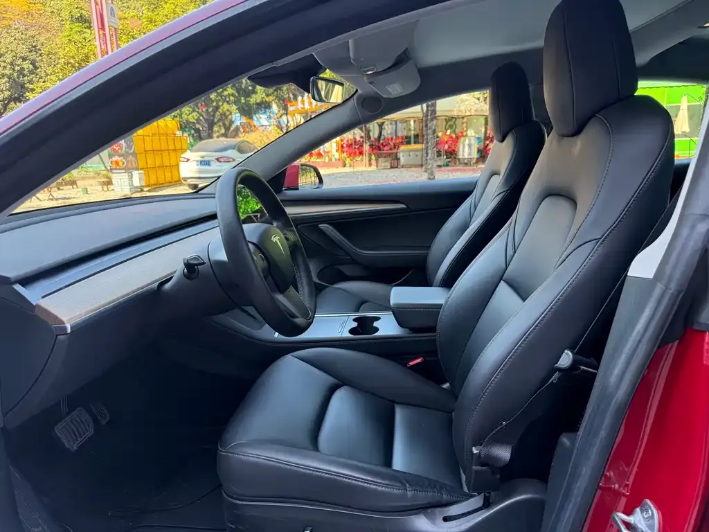 Tesla Model 3 2021 из CN, фото 5