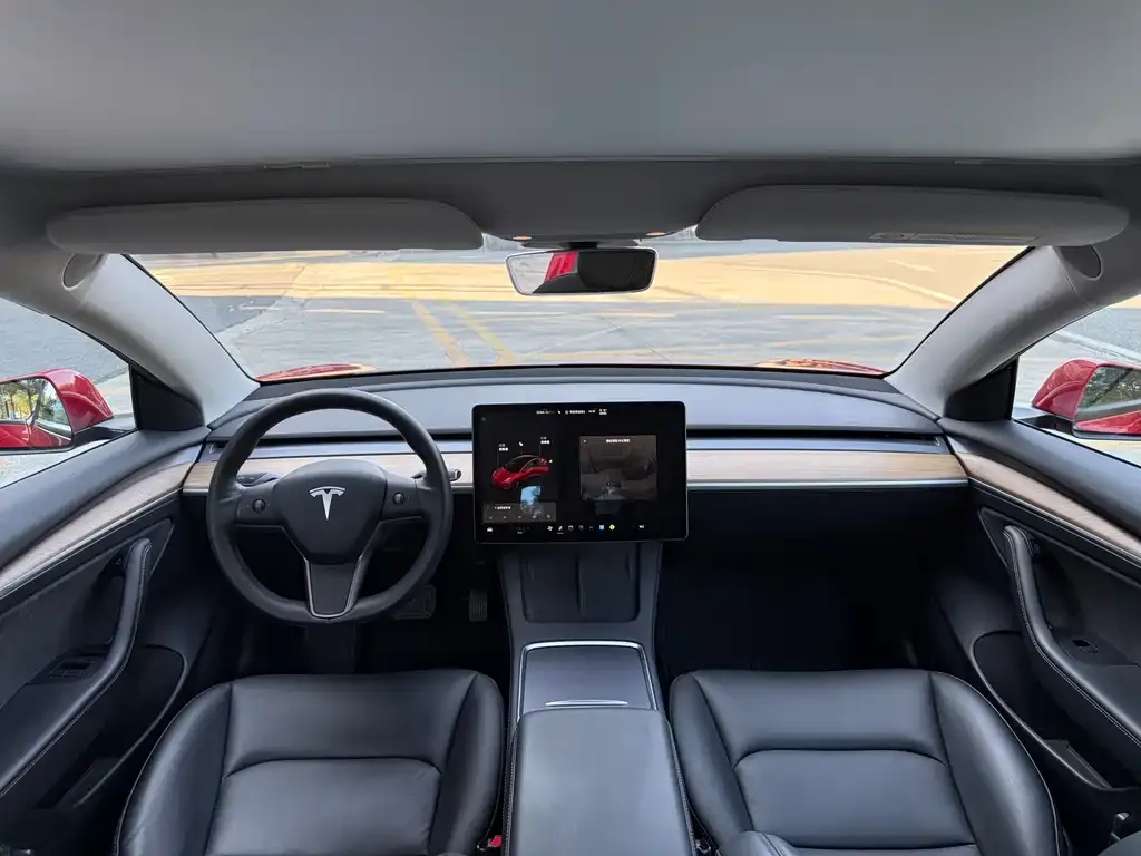 Tesla Model 3 2021 из CN, фото 6