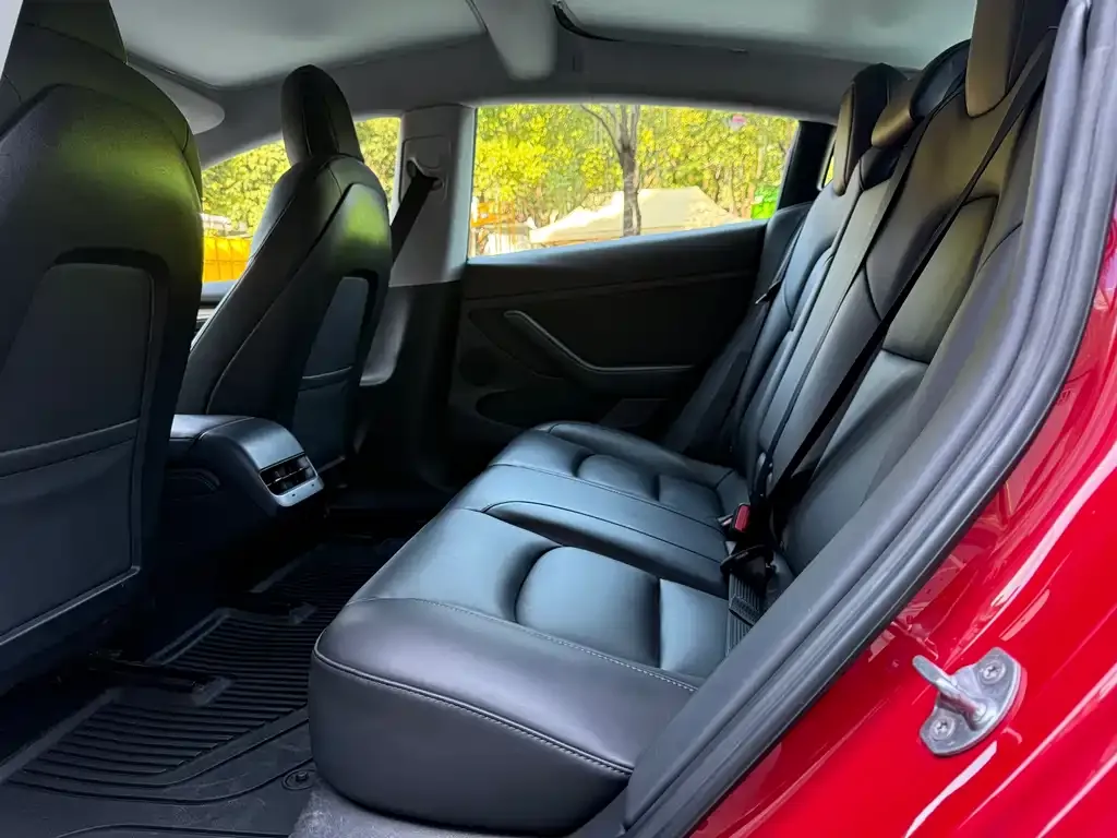 Tesla Model 3 2021 из CN, фото 2