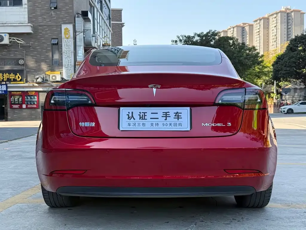Tesla Model 3 2021 из CN, фото 7