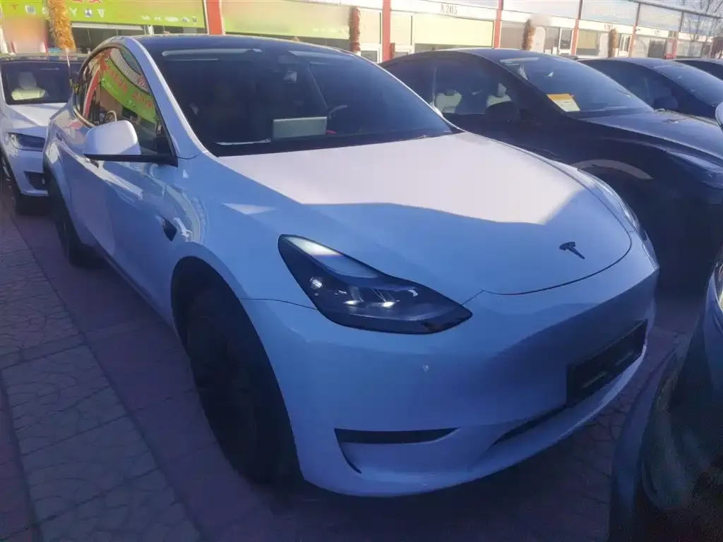 Tesla Model Y — фото 3