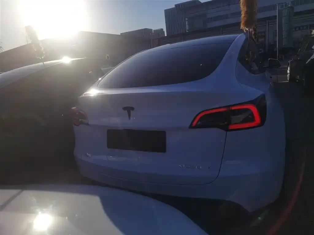 Tesla Model Y — фото 6