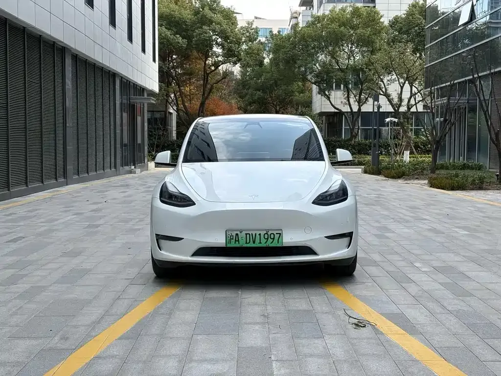 Tesla Model Y — фото 2