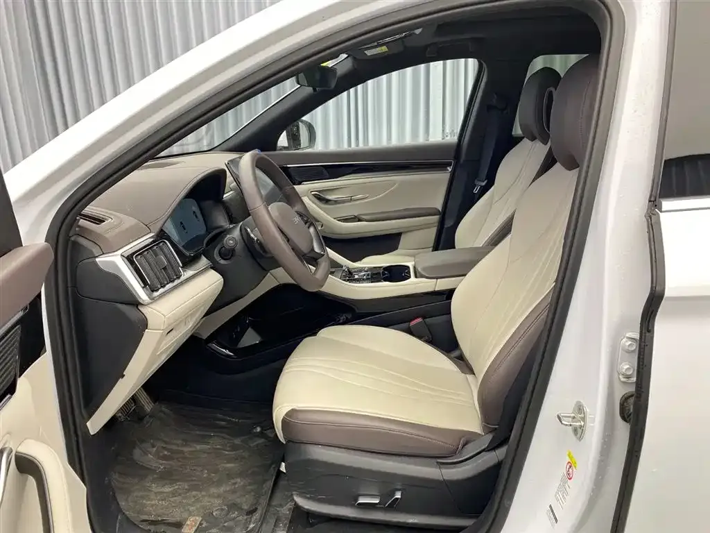 BYD PLUS New Energy 2025 из CN, фото 10