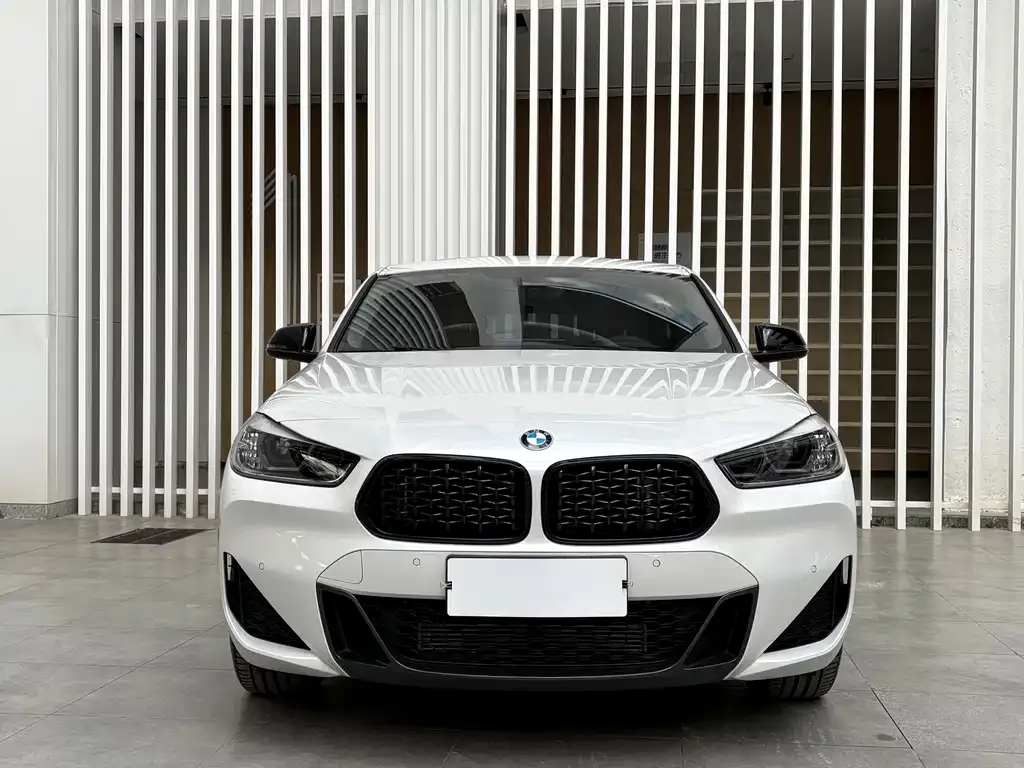 BMW X2 2023 из CN, фото 2