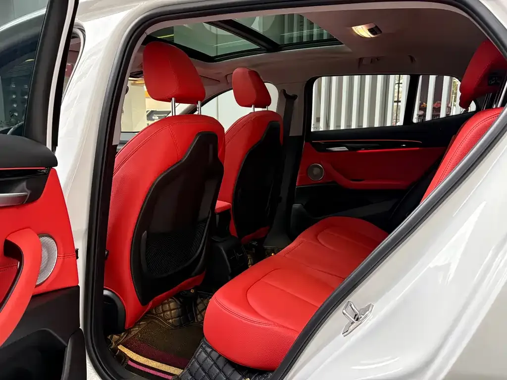 BMW X2 2023 из CN, фото 6