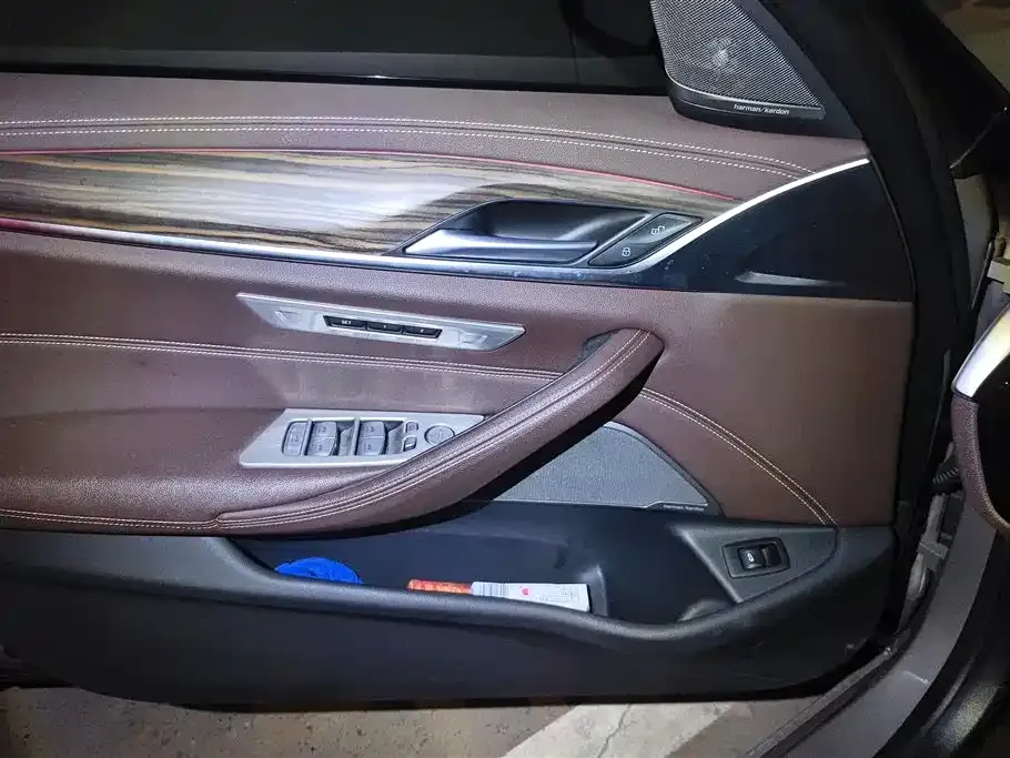 BMW 5 Series 2023 из CN, фото 7