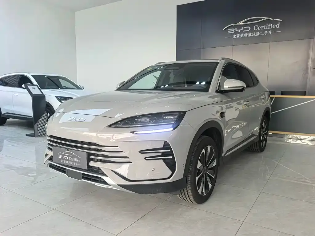 BYD PLUS New Energy 2025 из CN, фото 1