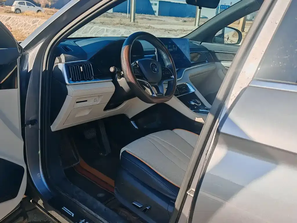 BYD PLUS New Energy 2023 из CN, фото 6