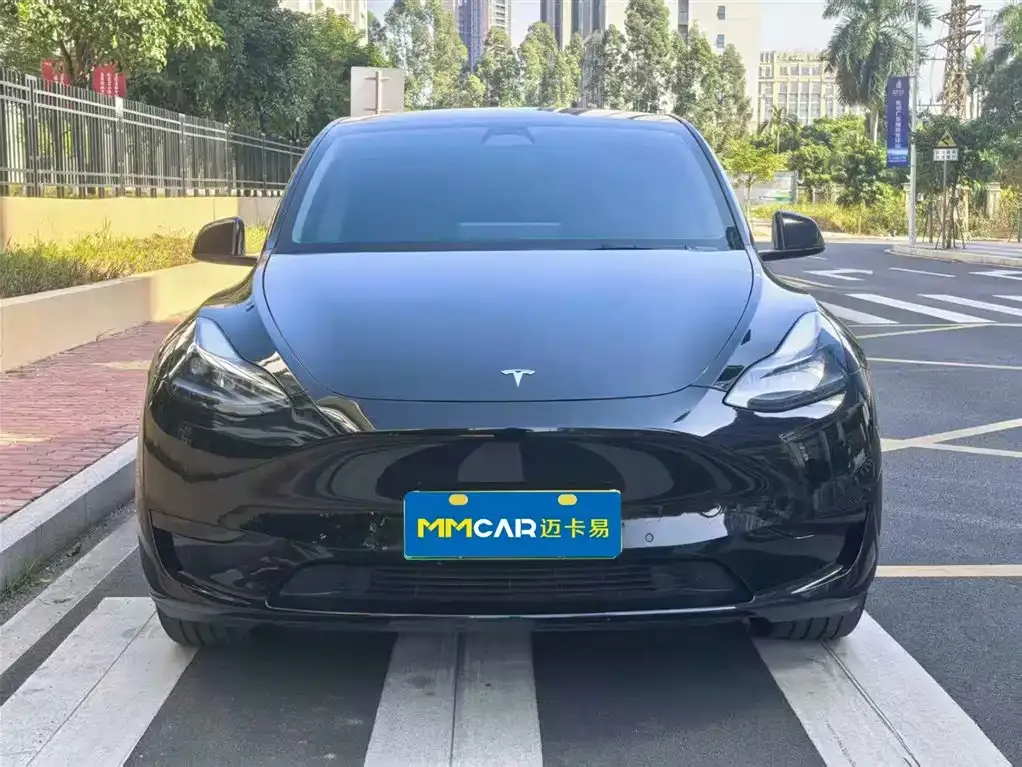 Tesla Model Y 2023 из CN, фото 2