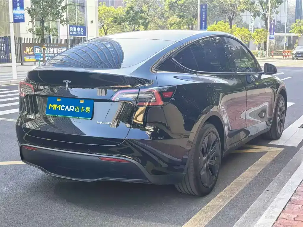 Tesla Model Y 2023 из CN, фото 5