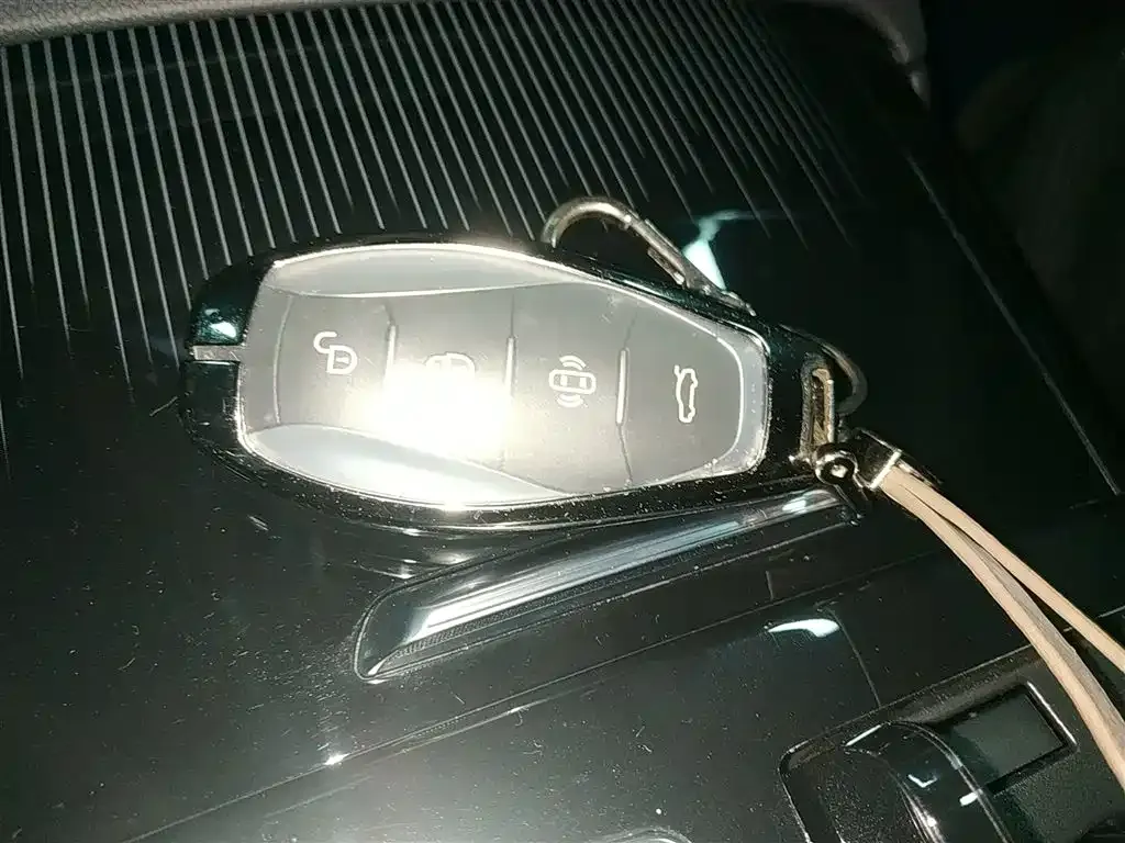 Hongqi H9 2024 из CN, фото 4