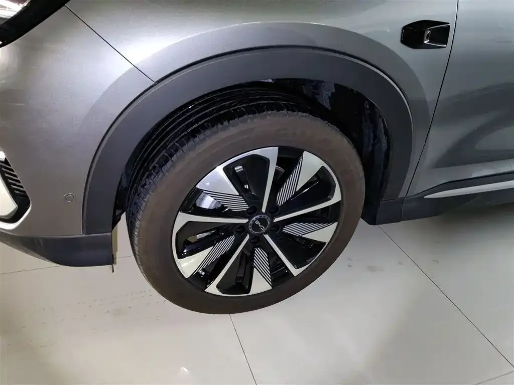 BYD PLUS New Energy 2025 из CN, фото 2
