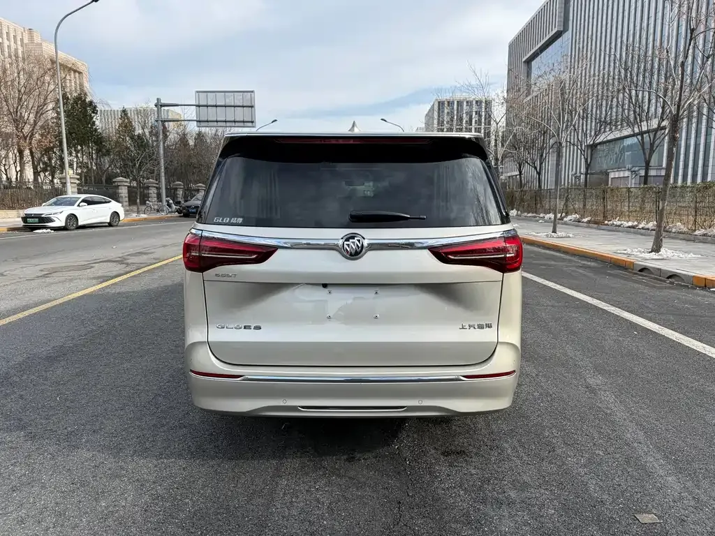 Buick GL8 2021 из CN, фото 5