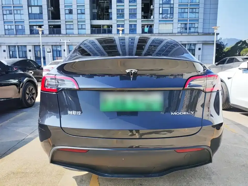 Tesla Model Y 2024 из CN, фото 4