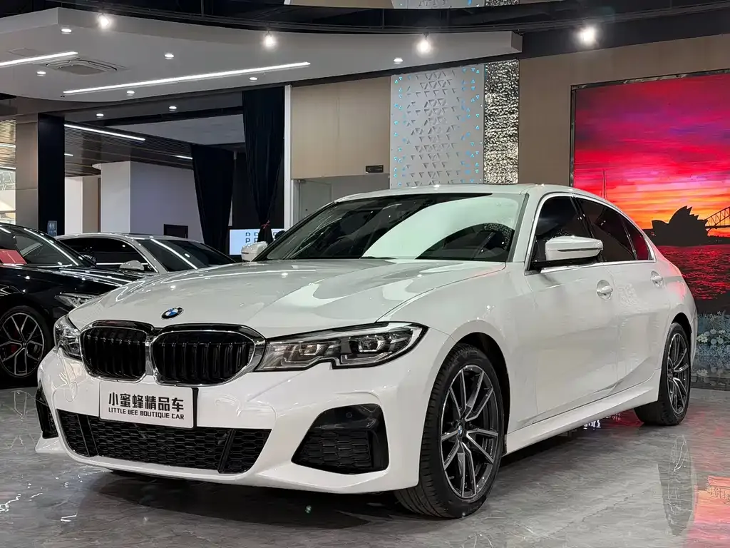 BMW 3 Series 2021 из CN, фото 1