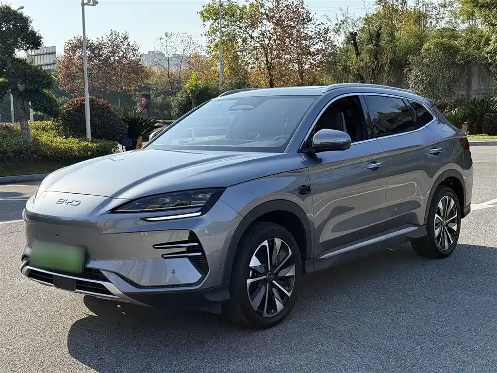 BYD PLUS New Energy — фото 2