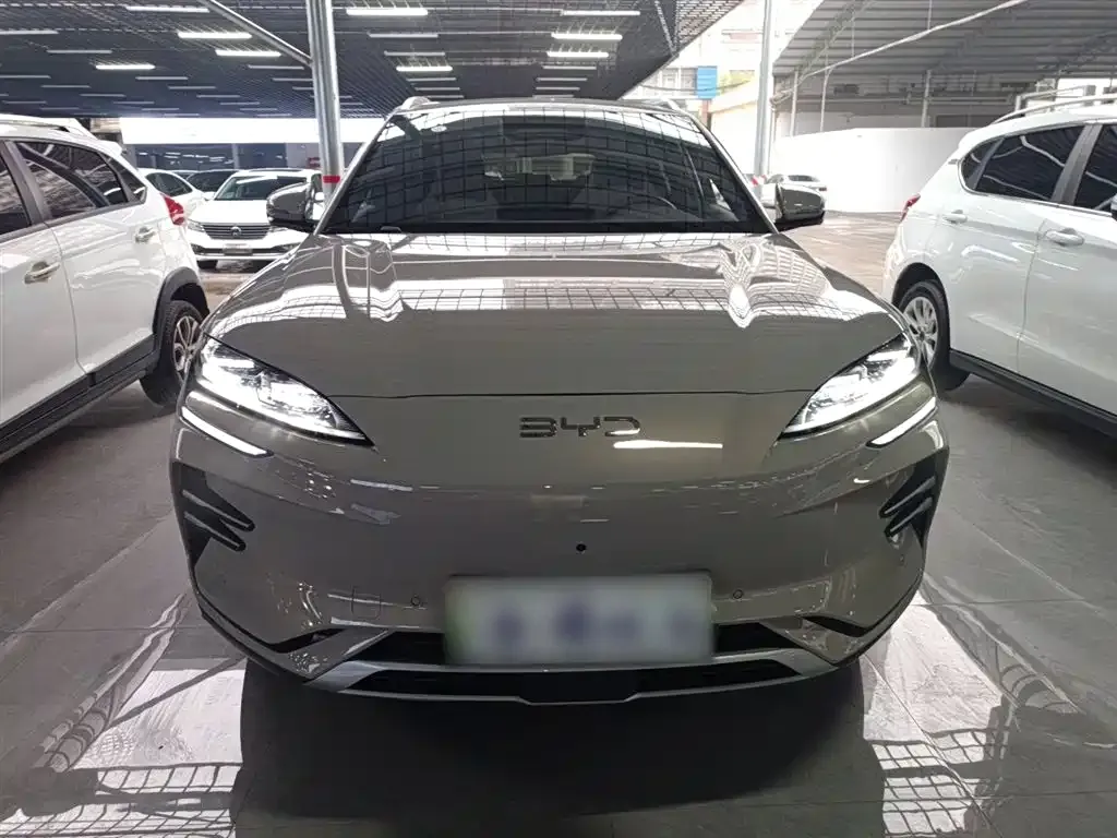 BYD PLUS New Energy 2025 из CN, фото 3