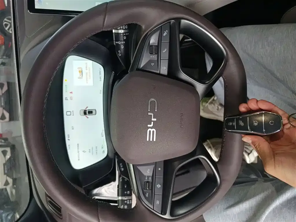 BYD PLUS New Energy 2025 из CN, фото 9