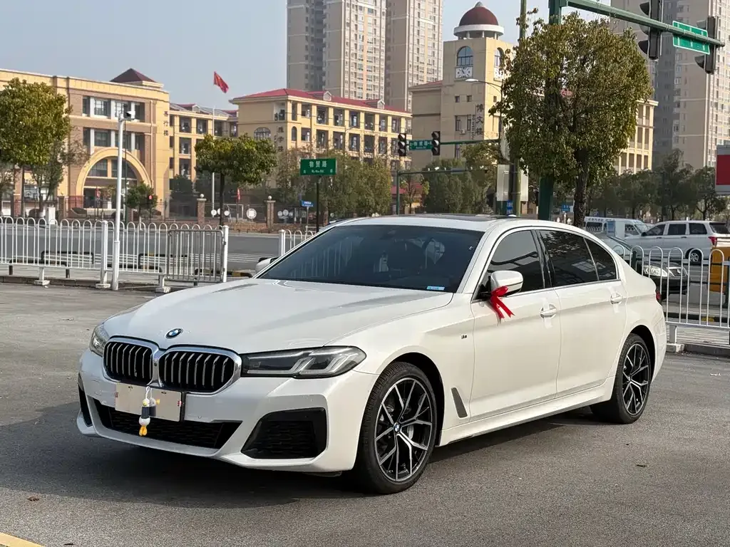 BMW 5 Series 2021 из CN, фото 1