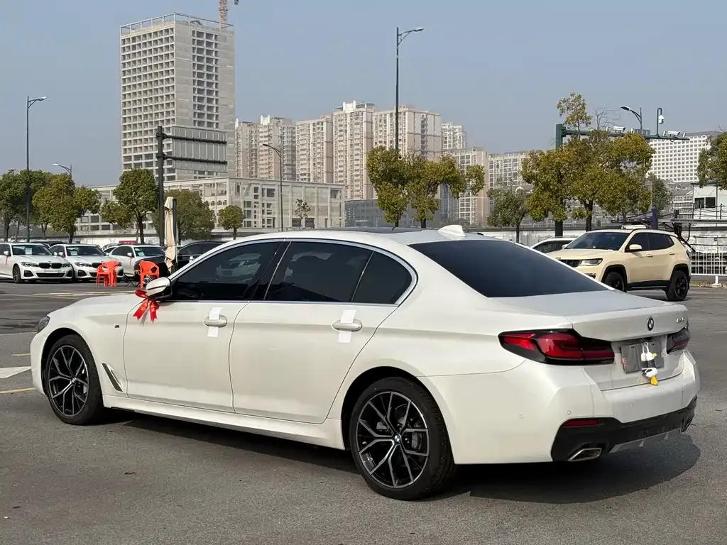 BMW 5 Series 2021 из CN, фото 8