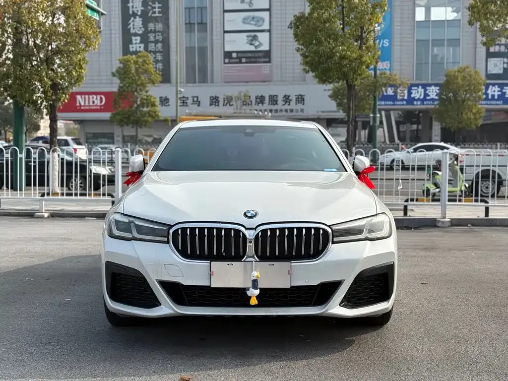 BMW 5 Series 2021 из CN, фото 9