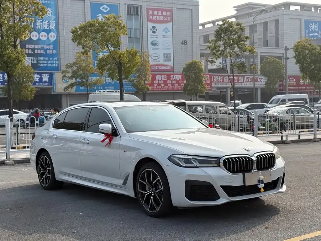 BMW 5 Series 2021 из CN, фото 10