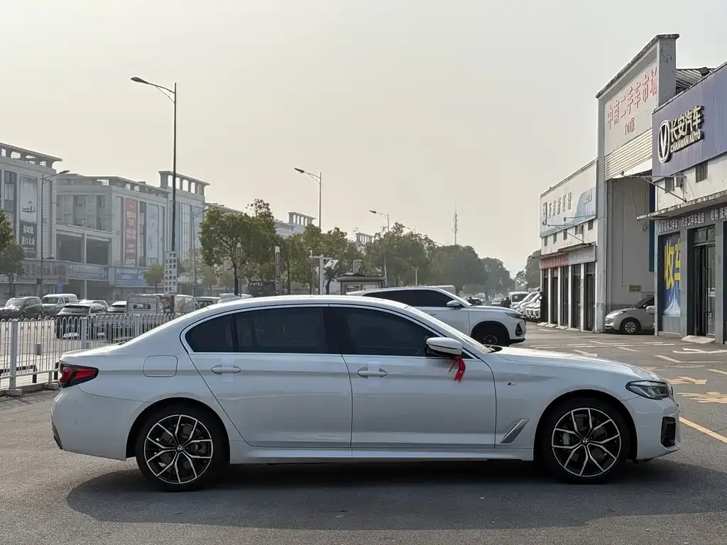BMW 5 Series 2021 из CN, фото 4